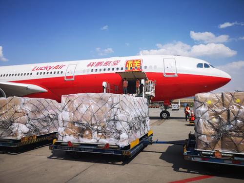 航空货运(图1)