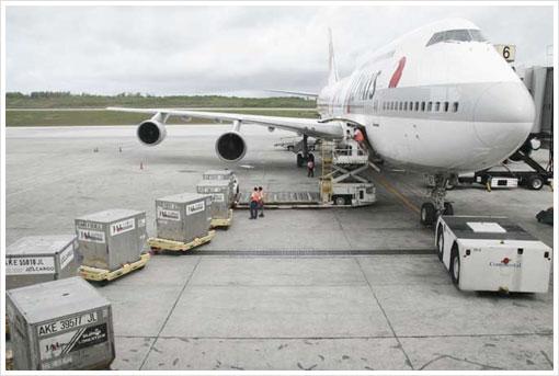 航空托运注意事项(图1)