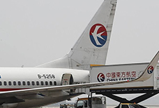 合肥宠物航空托运的防范措施(图1)