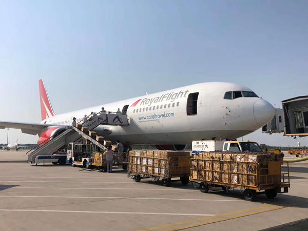 航空货运单丢失怎么办(图1)